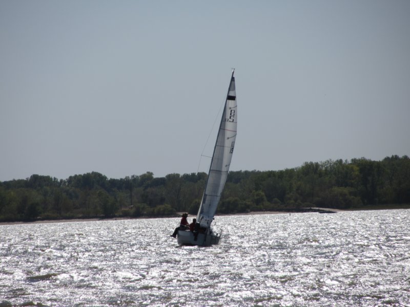 pic141.jpg