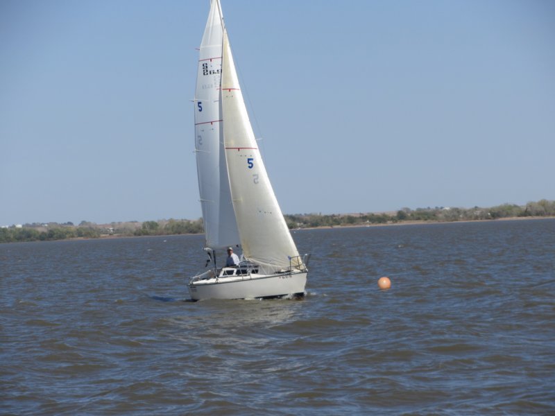 pic176.jpg