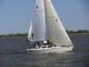 pic180_small.jpg